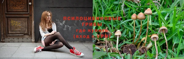 ALPHA-PVP Вяземский