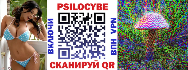 Купить где  Медынь  Псилоцибиновые грибы мицелий 